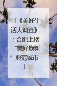 《美好生活大调查》：合肥上榜“美好焕新”典范城市