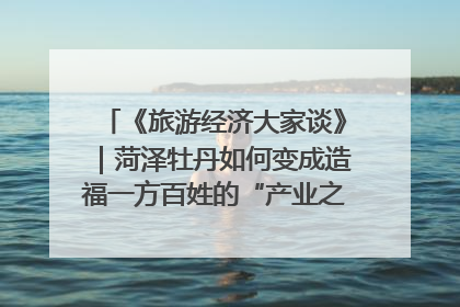 《旅游经济大家谈》｜菏泽牡丹如何变成造福一方百姓的“产业之花”“富民之花”？