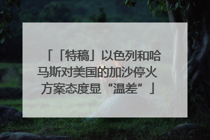 「特稿」以色列和哈马斯对美国的加沙停火方案态度显“温差”