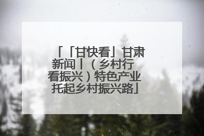 「甘快看」甘肃新闻丨（乡村行 看振兴）特色产业托起乡村振兴路