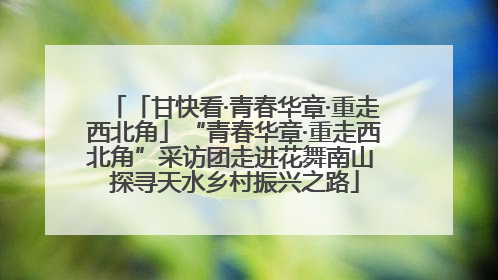 「甘快看·青春华章·重走西北角」“青春华章·重走西北角”采访团走进花舞南山 探寻天水乡村振兴之路