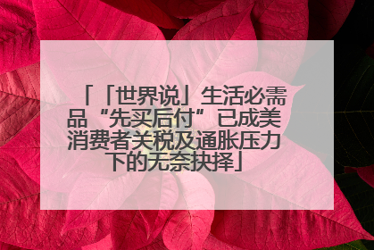 「世界说」生活必需品“先买后付”已成美消费者关税及通胀压力下的无奈抉择