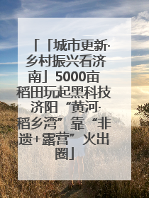 「城市更新· 乡村振兴看济南」5000亩稻田玩起黑科技 济阳“黄河·稻乡湾”靠“非遗+露营”火出圈