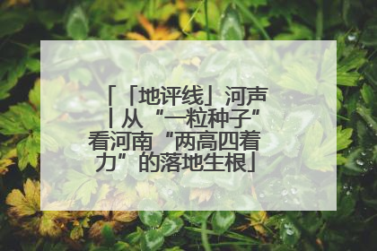「地评线」河声丨从“一粒种子”看河南“两高四着力”的落地生根