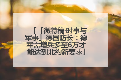 「微特稿·时事与军事」德国防长：德军需增兵多至6万才能达到北约新要求