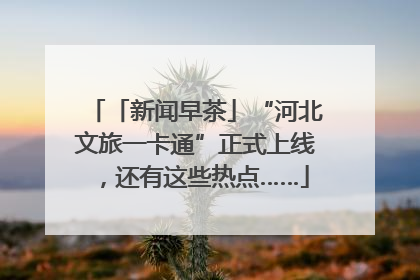 「新闻早茶」“河北文旅一卡通”正式上线，还有这些热点……