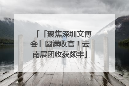 「聚焦深圳文博会」圆满收官！云南展团收获颇丰