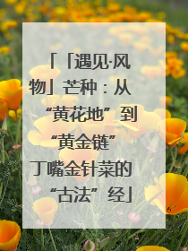 「遇见·风物」芒种：从“黄花地”到“黄金链” 丁嘴金针菜的“古法”经