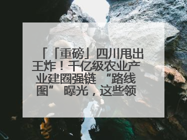 「重磅」四川甩出王炸！千亿级农业产业建圈强链 “路线图” 曝光，这些领域要火！