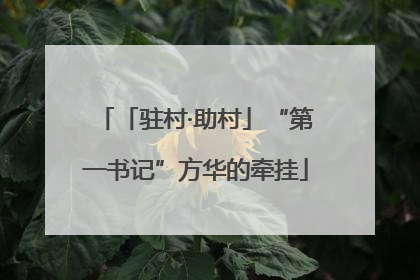 「驻村·助村」“第一书记”方华的牵挂