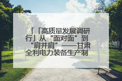 「高质量发展调研行」从“面对面”到“肩并肩”——甘肃全利电力装备生产制造项目一线见闻