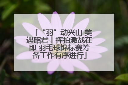 “羽”动兴山 美遇昭君丨挥拍激战在即 羽毛球锦标赛筹备工作有序进行