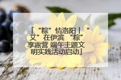“粽”情洛阳丨“艾”在伊滨 “粽”享露营 端午主题文明实践活动启动