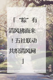 “粽”有清风拂面来！五社联动共织清风网