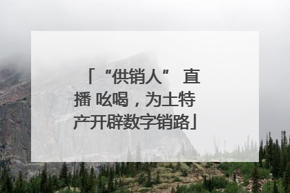 “供销人” 直播 吆喝，为土特产开辟数字销路
