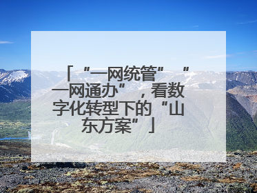 “一网统管”“一网通办”，看数字化转型下的“山东方案”