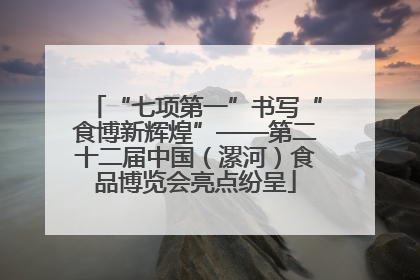 “七项第一”书写“食博新辉煌”——第二十二届中国（漯河）食品博览会亮点纷呈