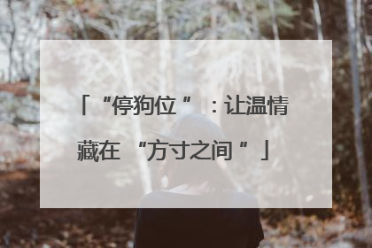 “停狗位 ”：让温情藏在 “方寸之间 ”