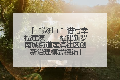 “党建+”谱写幸福莲滨——福建新罗南城街道莲滨社区创新治理模式探访