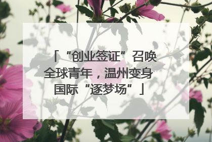 “创业签证”召唤全球青年，温州变身国际“逐梦场”