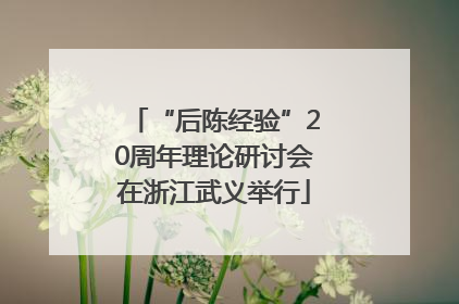 “后陈经验”20周年理论研讨会在浙江武义举行