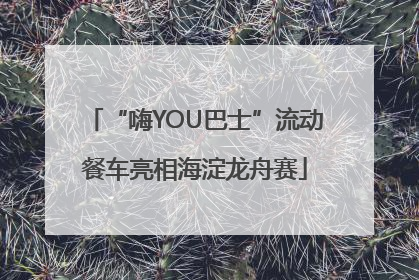 “嗨YOU巴士”流动餐车亮相海淀龙舟赛