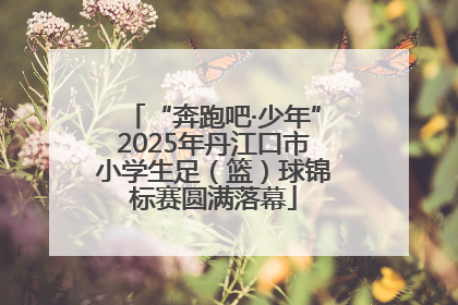 “奔跑吧·少年”2025年丹江口市小学生足（篮）球锦标赛圆满落幕