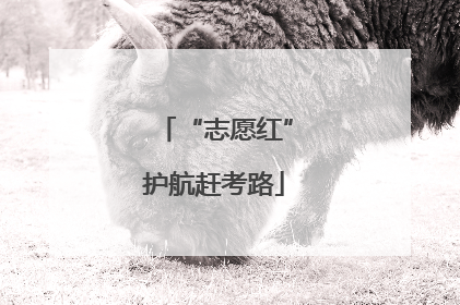“志愿红”护航赶考路