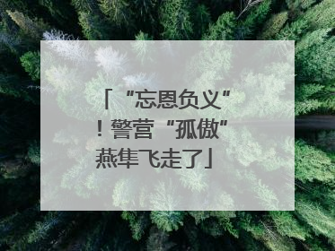 “忘恩负义”！警营“孤傲”燕隼飞走了