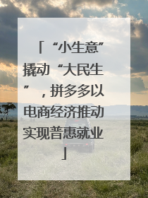 “小生意”撬动“大民生”，拼多多以电商经济推动实现普惠就业