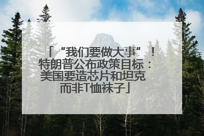 “我们要做大事”！特朗普公布政策目标：美国要造芯片和坦克 而非T恤袜子