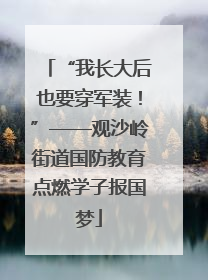“我长大后也要穿军装！”——观沙岭街道国防教育点燃学子报国梦