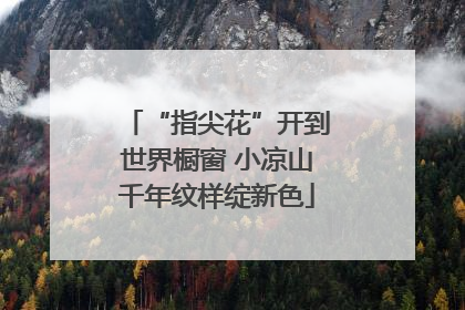 “指尖花”开到世界橱窗 小凉山千年纹样绽新色