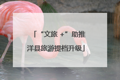 “文旅 +”助推洋县旅游提档升级