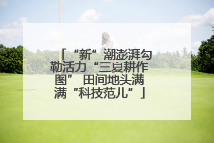 “新”潮澎湃勾勒活力“三夏耕作图” 田间地头满满“科技范儿”