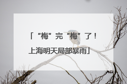 “梅”完“梅”了！上海明天局部暴雨