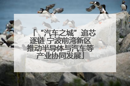“汽车之城”追芯逐链 宁波前湾新区推动半导体与汽车等产业协同发展