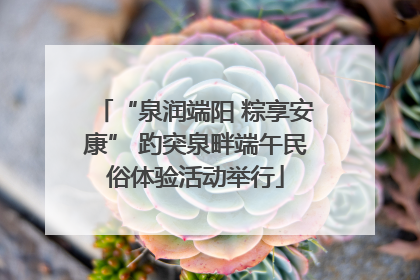 “泉润端阳 粽享安康” 趵突泉畔端午民俗体验活动举行