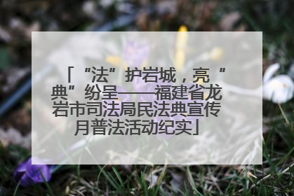 “法”护岩城，亮“典”纷呈——福建省龙岩市司法局民法典宣传月普法活动纪实