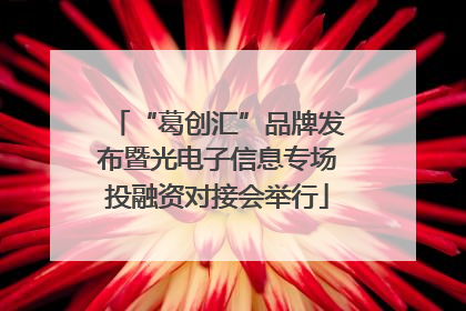 “葛创汇”品牌发布暨光电子信息专场投融资对接会举行