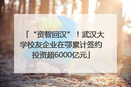 “资智回汉”！武汉大学校友企业在鄂累计签约投资超6000亿元