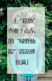 “趁热”查收！山东的“绿野仙踪”清凉感拉满