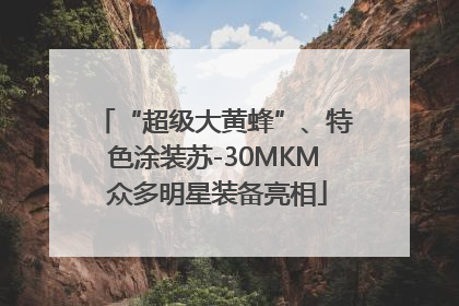 “超级大黄蜂”、特色涂装苏-30MKM 众多明星装备亮相