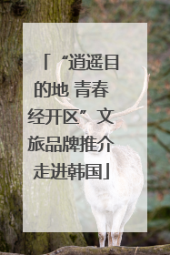 “逍遥目的地 青春经开区”文旅品牌推介走进韩国