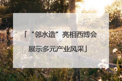 “邻水造”亮相西博会 展示多元产业风采
