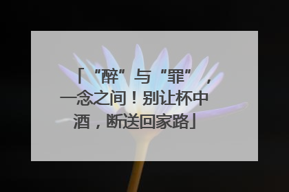 “醉”与“罪”，一念之间！别让杯中酒，断送回家路
