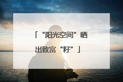 “阳光空间”晒出致富“籽”
