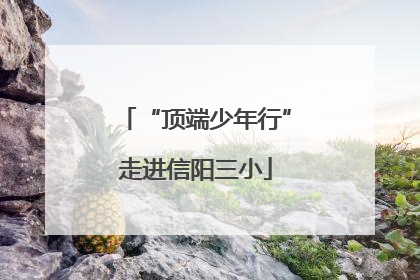 “顶端少年行”走进信阳三小