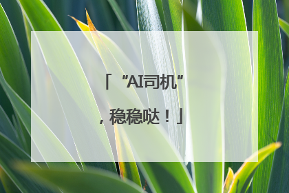 “AI司机”，稳稳哒！