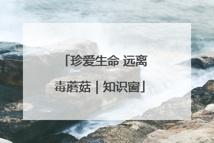 珍爱生命 远离毒蘑菇｜知识窗